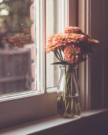 Окно с цветочной вазой. Фото Free for commercial use, No attribution required. Бесплатное стоковое фото для свободного скачивания