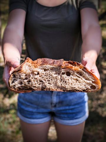 Домашний хлеб на закваске. Фото Free for commercial use, No attribution required. Бесплатное стоковое фото для свободного скачивания