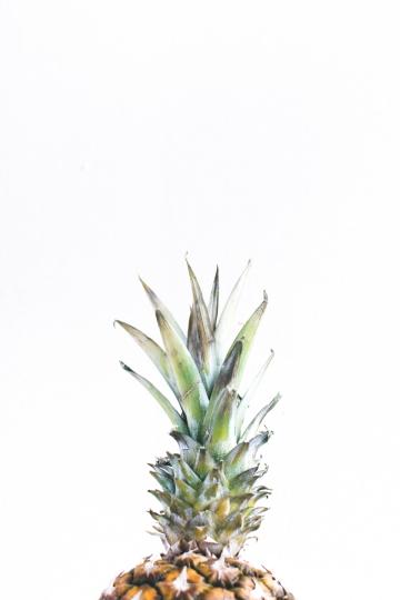 Хвостик ананаса. Фото Free for commercial use, No attribution required. Бесплатное стоковое фото для свободного скачивания