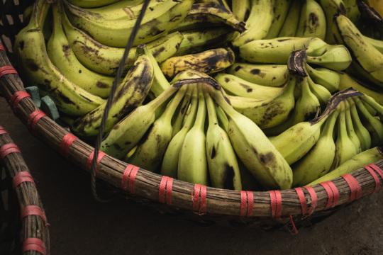 Спелые бананы в корзине. Фото Free for commercial use, No attribution required. Бесплатное стоковое фото для свободного скачивания