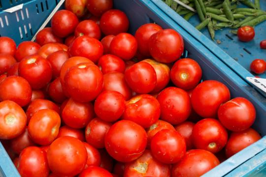 Яркие красные помидоры на рынке. Фото Free for commercial use, No attribution required. Бесплатное стоковое фото для свободного скачивания