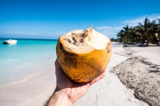 Пить свежий молодой кокос на пляже. Фото Free for commercial use, No attribution required. Бесплатное стоковое фото для свободного скачивания