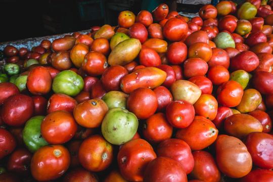 Свежие помидоры на фермерском рынке. Фото Free for commercial use, No attribution required. Бесплатное стоковое фото для свободного скачивания