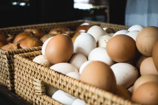 Свежие яйца в продуктовом магазине. Фото Free for commercial use, No attribution required. Бесплатное стоковое фото для свободного скачивания