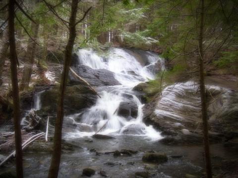 Лесной водопад. Фото Free for commercial use, No attribution required. Бесплатное стоковое фото для свободного скачивания