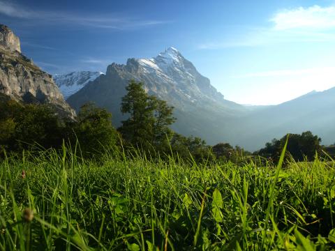 Швейцарские горы. Фото Свободно для коммерческого использования, Атрибуция не требуется. Бесплатное стоковое фото для свободного скачивания