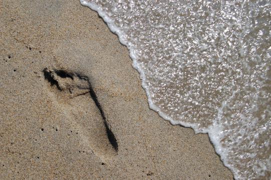 Отпечаток ноги на песке (3). Фото Свободно для коммерческого использования, Атрибуция не требуется. Бесплатное стоковое фото для свободного скачивания