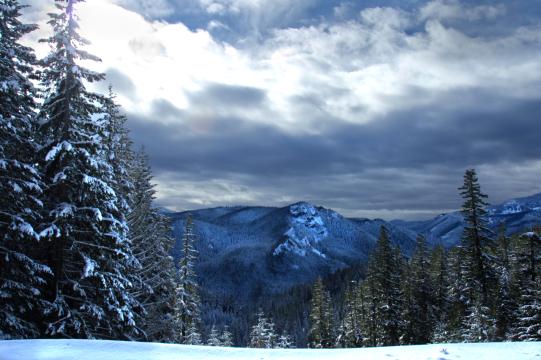 Зимний пейзаж. Фото Free for commercial use, No attribution required. Бесплатное стоковое фото для свободного скачивания