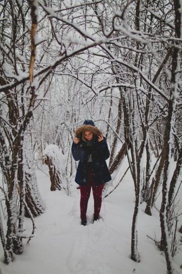 В зимнем лесу. Фото Free for commercial use, No attribution required. Бесплатное стоковое фото для свободного скачивания