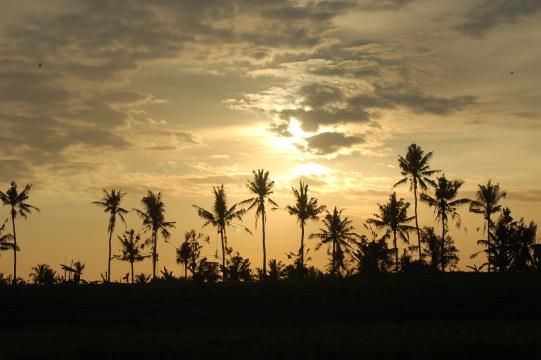Закат на Бали. Фото Свободно для коммерческого использования, Атрибуция не требуется. Бесплатное стоковое фото для свободного скачивания