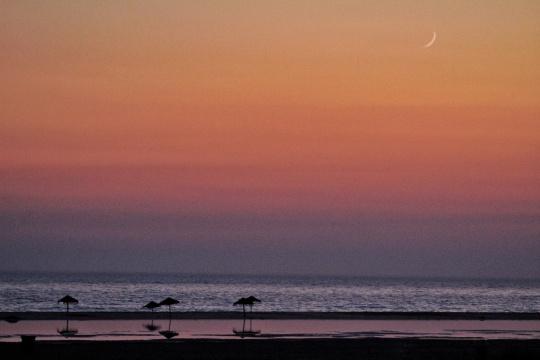Пляж, лунный свет, море, закат. Фото Свободно для коммерческого использования, Атрибуция не требуется. Бесплатное стоковое фото для свободного скачивания