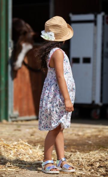 Девочка смотрит на лошадь. Фото Свободно для коммерческого использования, Атрибуция не требуется. Бесплатное стоковое фото для свободного скачивания