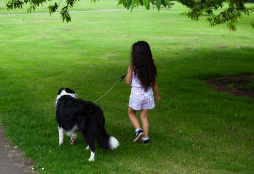 Девочка выгуливает собаку (2). Фото Свободно для коммерческого использования, Атрибуция не требуется. Бесплатное стоковое фото для свободного скачивания