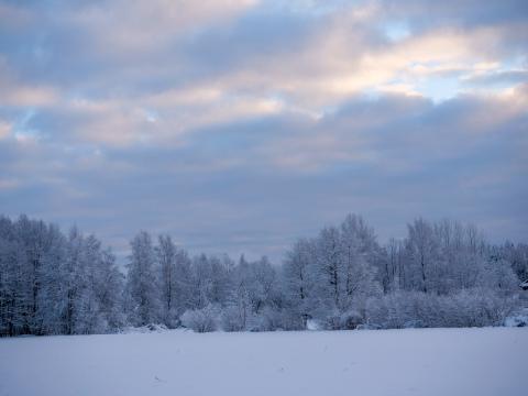 Зимний снег. Фото Free for commercial use, No attribution required. Бесплатное стоковое фото для свободного скачивания