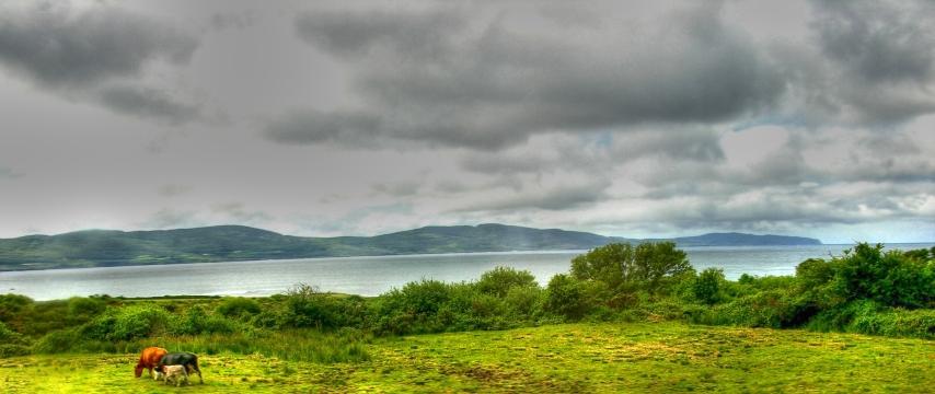 Ирландский пейзаж. Фото Свободно для коммерческого использования, Атрибуция не требуется. Бесплатное стоковое фото для свободного скачивания