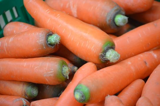 Морковь. Фото Free for commercial use, No attribution required. Бесплатное стоковое фото для свободного скачивания