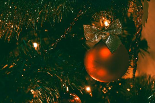 Рождественская елка. Фото Свободно для коммерческого использования, Атрибуция не требуется. Бесплатное стоковое фото для свободного скачивания