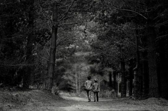 Прогулки в лесу.Чёрно Белые. Фото Free for commercial use, No attribution required. Бесплатное стоковое фото для свободного скачивания