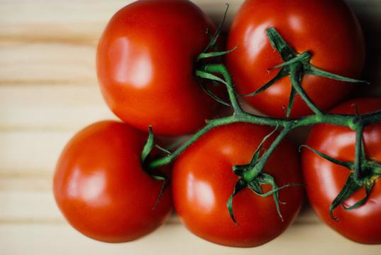 Красные помидоры. Фото Free for commercial use, No attribution required. Бесплатное стоковое фото для свободного скачивания