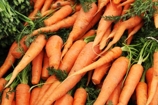 Морковь на фермерском рынке. Фото Free for commercial use, No attribution required. Бесплатное стоковое фото для свободного скачивания