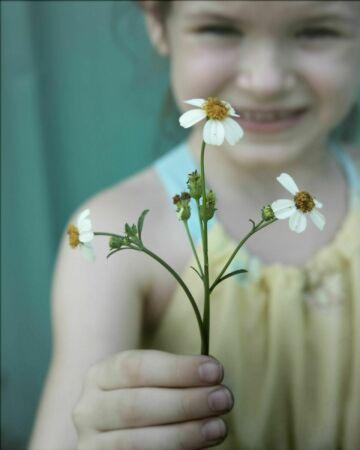 Девочка и  цветок. Фото Free for commercial use, No attribution required. Бесплатное стоковое фото для свободного скачивания