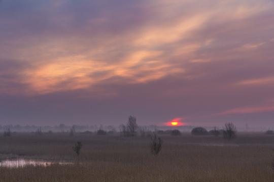 Восход солнца в Лауверсмире. Фото Свободно для коммерческого использования, Атрибуция не требуется. Бесплатное стоковое фото для свободного скачивания