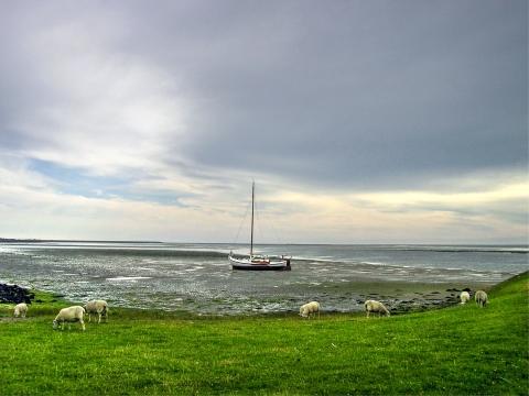 Лодка на острове Тексел. Фото Свободно для коммерческого использования, Атрибуция не требуется. Бесплатное стоковое фото для свободного скачивания