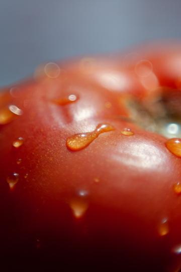 Красный помидор. Фото Free for commercial use, No attribution required. Бесплатное стоковое фото для свободного скачивания