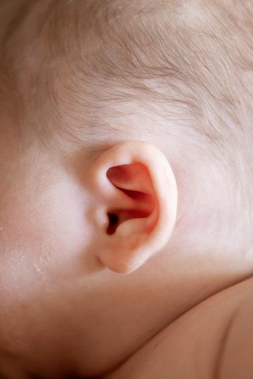 Детское ухо. Фото Свободно для коммерческого использования, Атрибуция не требуется. Бесплатное стоковое фото для свободного скачивания
