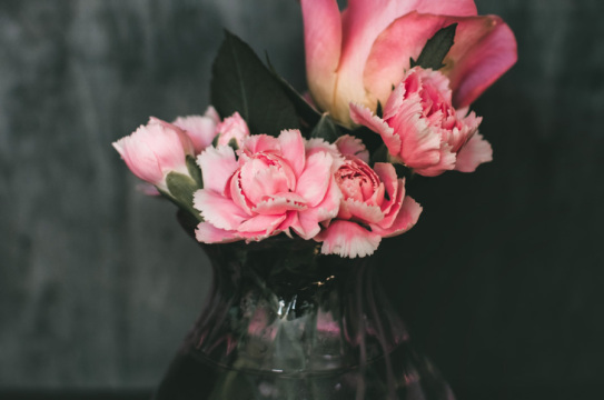 Красивые розовые цветы. Фото Free for commercial use, No attribution required. Бесплатное стоковое фото для свободного скачивания