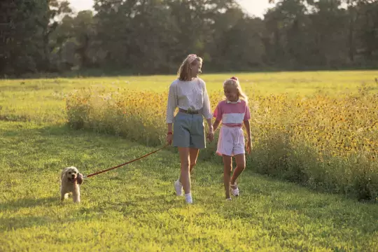 Мать и дочь выгуливают собаку в поле. Фото Свободно для коммерческого использования, Атрибуция не требуется. Бесплатное стоковое фото для свободного скачивания