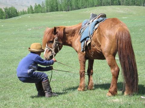 Монголия. Фото Свободно для коммерческого использования, Атрибуция не требуется. Бесплатное стоковое фото для свободного скачивания