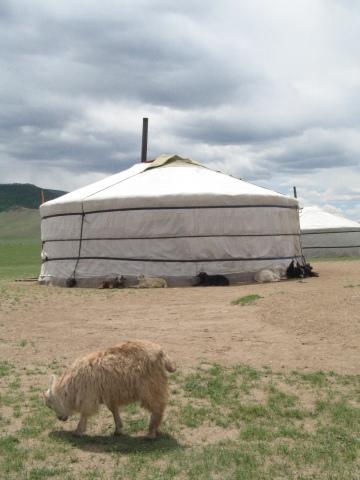 Монголия (3). Фото Свободно для коммерческого использования, Атрибуция не требуется. Бесплатное стоковое фото для свободного скачивания
