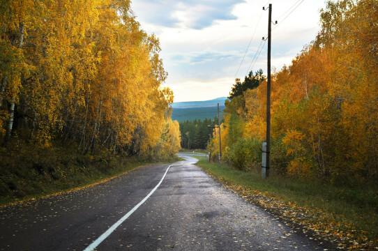 Осенний пейзаж. Фото Free for commercial use, No attribution required. Бесплатное стоковое фото для свободного скачивания