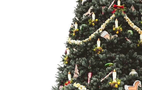 Рождественская елка (25). Фото Свободно для коммерческого использования, Атрибуция не требуется. Бесплатное стоковое фото для свободного скачивания