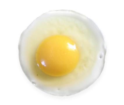 Жареное яйцо. Фото Свободно для коммерческого использования, Атрибуция не требуется. Бесплатное стоковое фото для свободного скачивания