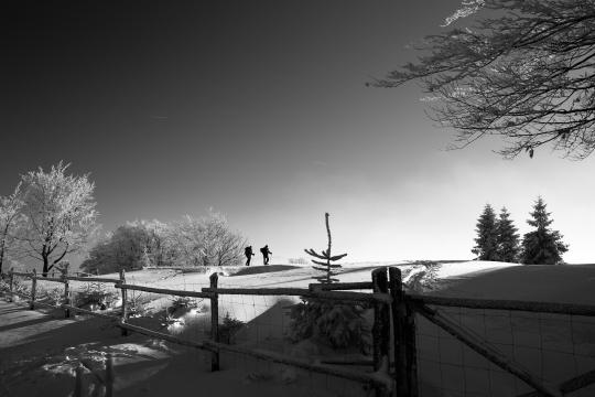Сугробы снега. Фото Free for commercial use, No attribution required. Бесплатное стоковое фото для свободного скачивания