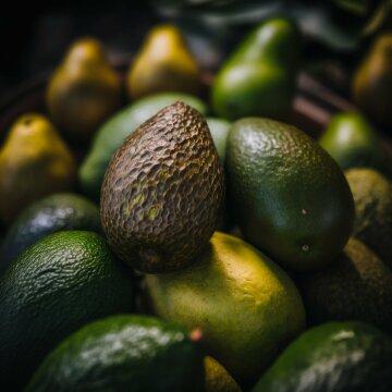 Свежие авокадо на рынке. Фото Free for commercial use, No attribution required. Бесплатное стоковое фото для свободного скачивания
