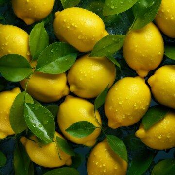 Лимоны с листьями. Фото Free for commercial use, No attribution required. Бесплатное стоковое фото для свободного скачивания