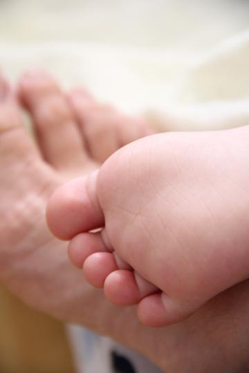 Ножки малыша и мамы. Фото Free for commercial use, No attribution required. Бесплатное стоковое фото для свободного скачивания