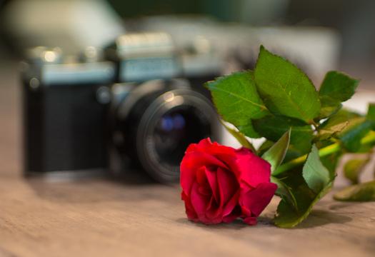 Красная роза и фотоаппарат. Фото Свободно для коммерческого использования, Атрибуция не требуется. Бесплатное стоковое фото для свободного скачивания