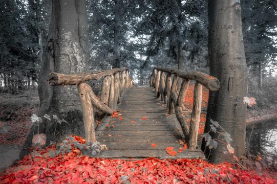 Старый деревянный мост. Фото Free for commercial use, No attribution required. Бесплатное стоковое фото для свободного скачивания