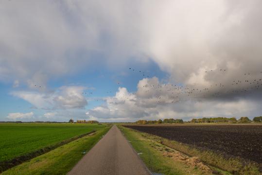 Голландский пейзаж. Фото Свободно для коммерческого использования, Атрибуция не требуется. Бесплатное стоковое фото для свободного скачивания
