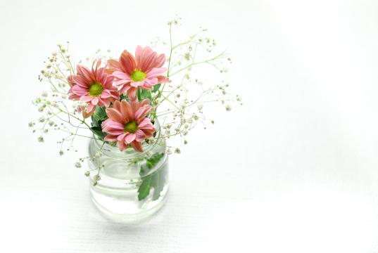 Цветы в вазе (2). Фото Свободно для коммерческого использования, Атрибуция не требуется. Бесплатное стоковое фото для свободного скачивания