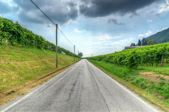 Пустая дорога в Италии. Фото Свободно для коммерческого использования, Атрибуция не требуется. Бесплатное стоковое фото для свободного скачивания