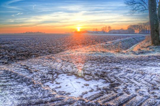 Холодный восход солнца в поле. Фото Free for commercial use, No attribution required. Бесплатное стоковое фото для свободного скачивания