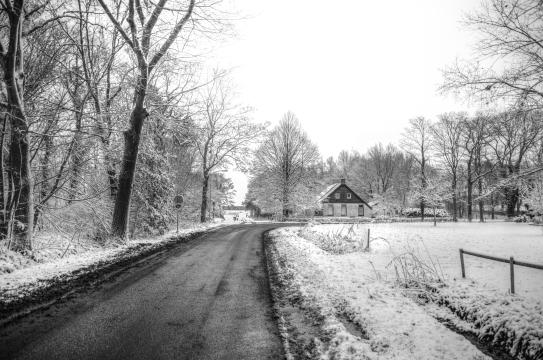 Зимняя сцена в Нидерландах. Фото Free for commercial use, No attribution required. Бесплатное стоковое фото для свободного скачивания