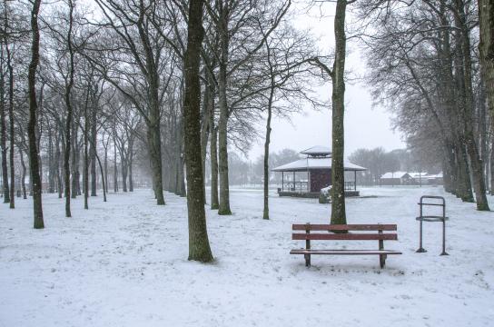 Зима в Нидерландах. Фото Free for commercial use, No attribution required. Бесплатное стоковое фото для свободного скачивания
