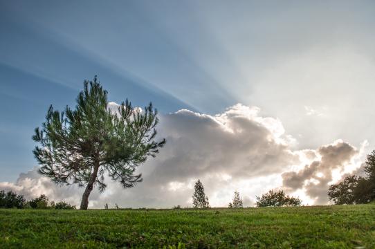Облака и солнечные лучи. Фото Free for commercial use, No attribution required. Бесплатное стоковое фото для свободного скачивания