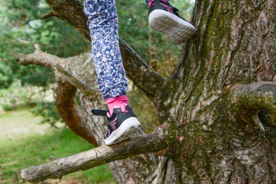 Ребенок взбирается на дерево. Фото Свободно для коммерческого использования, Атрибуция не требуется. Бесплатное стоковое фото для свободного скачивания